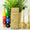 Brosse à dents NANO - Édition Kids Brosse à dents NANO - Édition Kids